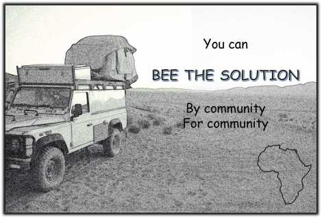Bee the solution